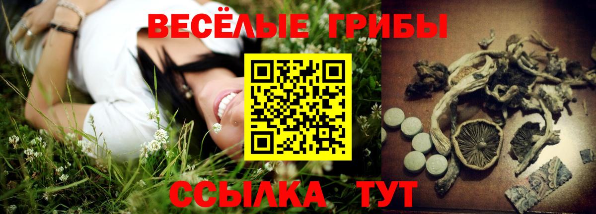 Псилоцибиновые грибы Psilocybe Лабинск